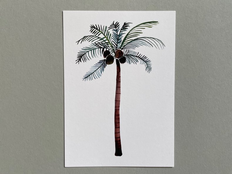 Postkarte-Palme-Vorderseite